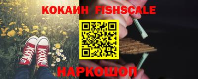 гашик Кинель