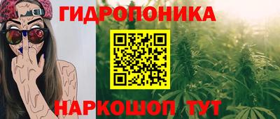 гашик Кинель