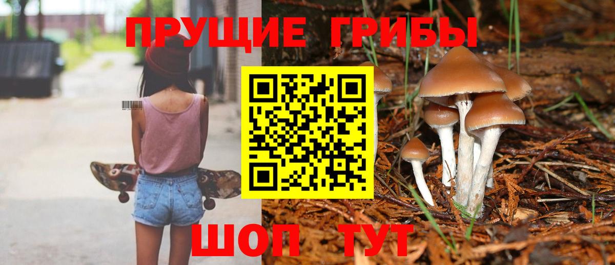 Псилоцибиновые грибы мухоморы  закладки  Псилоцибиновые грибы Psilocybine cubensis  Саров  Вход с VPN 